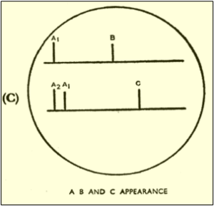 A, B and C Appearance